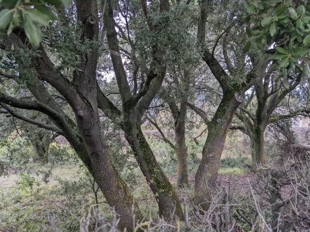 Venta de parcela en Ayegui ( Iratxe) - foto 4