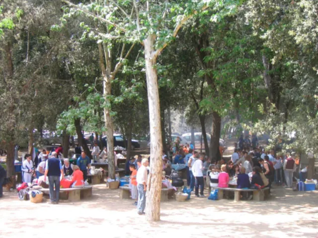 Finca rústica de 9 hectáreas en Arenys de Munt — 24