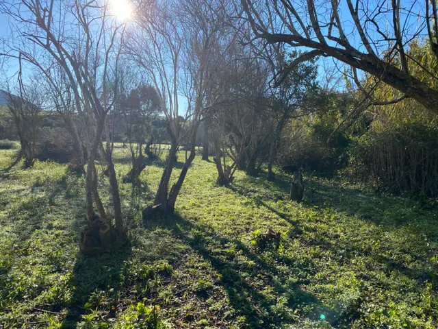 Casa de campo para reformar — 10