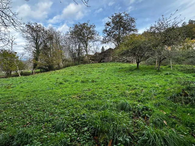 FINCA EDIFICABLE A 3 KM DE CANGAS DE ONIS — 9