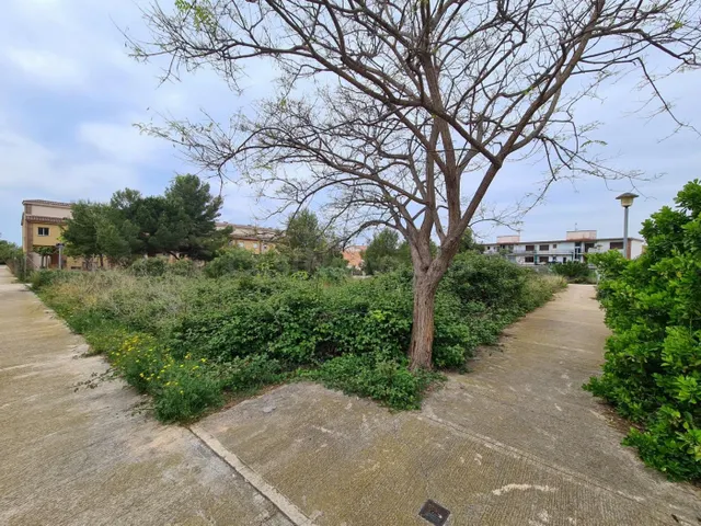 Venta de Parcelas en Bonavista Mar - foto 5