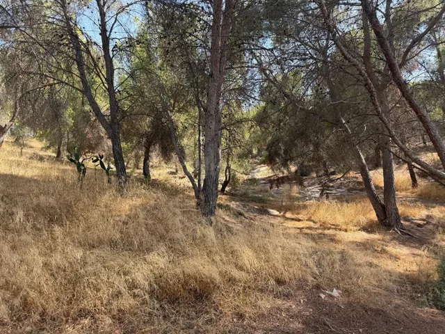 Amplia Parcela en La Alberca, Murcia - Oportunidad Única por - foto 3