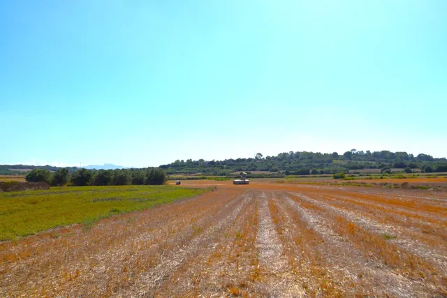 Finca rústica con posibilidad de vivienda en Muro - foto 2