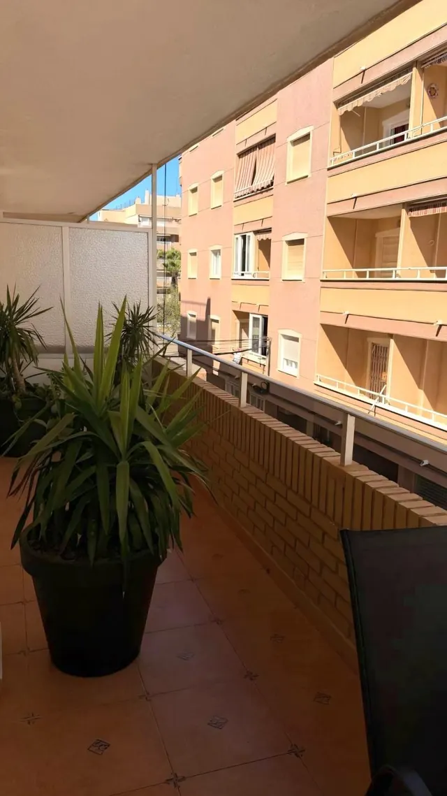 Apartamento con terraza, Alicante, Torrevieja, Playa de los Locos. 3 habitaciones, 110 m2, 200 metros al mar — 35