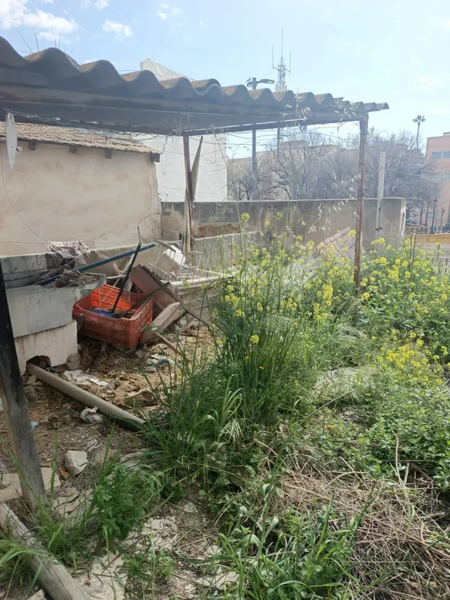Gran casa en Aspe con inmenso jardín. — 16