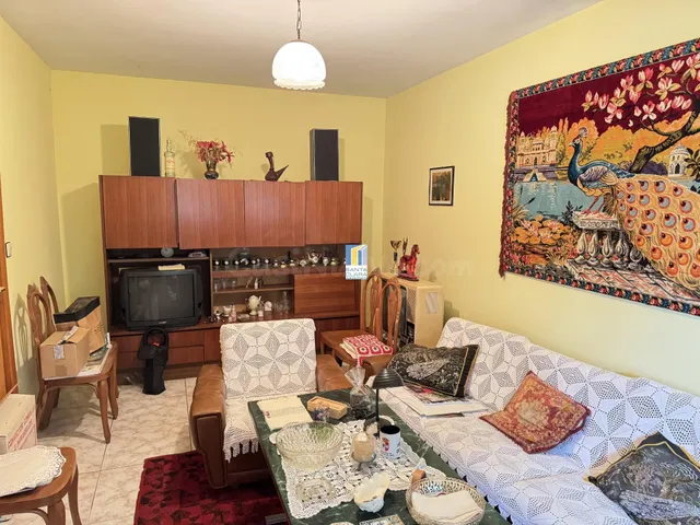 FINCA DE REGADÍO EN VENTA CON CASA EN ZONA CARRETERA DE CORE - foto 5