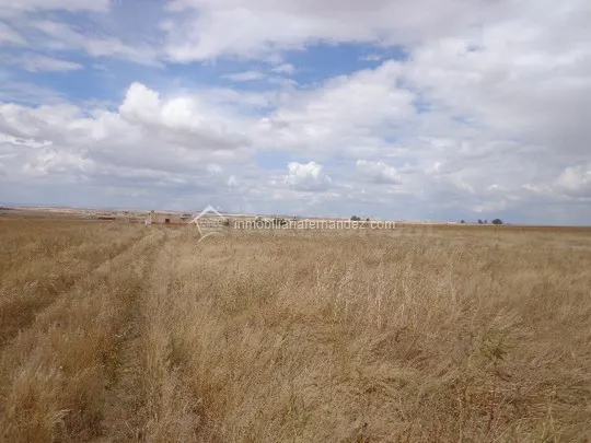 Se vende parcela en Cordel de Merinas