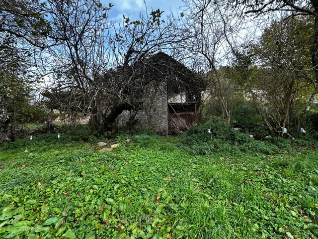 FINCA EDIFICABLE A 3 KM DE CANGAS DE ONIS — 7