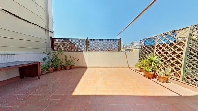 Ático luminoso de 2hab. con terraza de 20m2 — 36