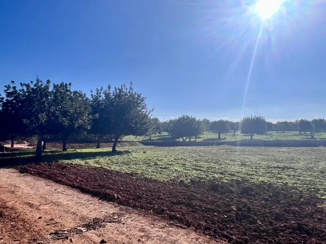 Finca rústica al lado de Muro — 7