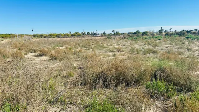 Terreno de 12.000 m2 en Perleta. — 8