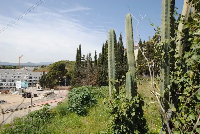 Parcela en venta - Centro — 3