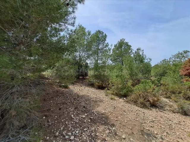 VENTA GRAN OPORTUNIDAD DE INVERSIÓN EN BÉTERA – TERRENO URBA - foto 4