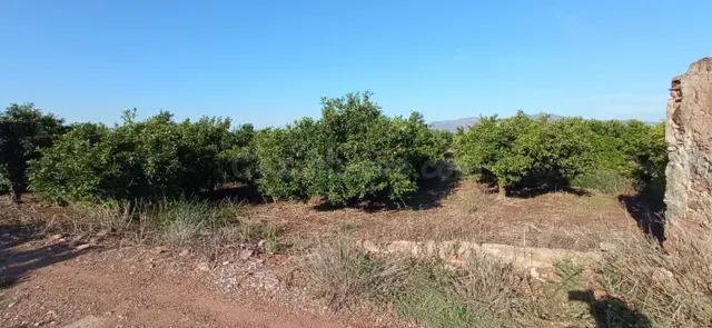 Terreno rural en venta - Nules - foto 2