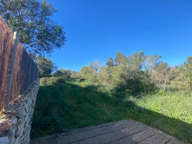 ✨ ¡OPORTUNIDAD ÚNICA EN EL CORAZÓN DE MALLORCA! ✨ - foto 4
