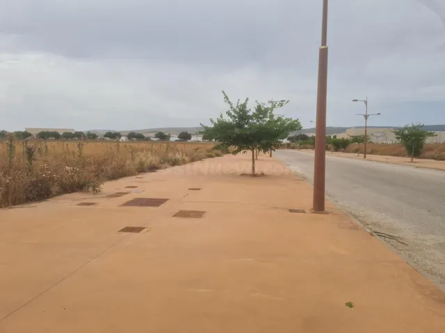 Terreno en venta en Escuzar Parque Industrial Metropolitano