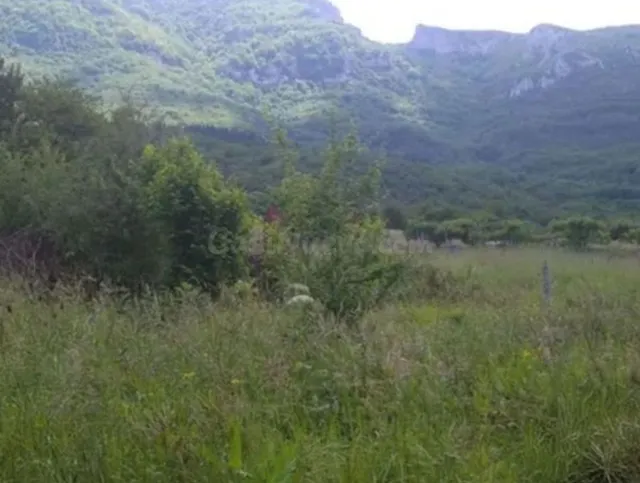 Terreno rural 3930m² en venta - Northern spain - foto 2