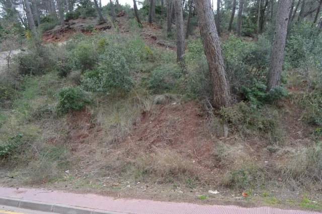 PARCELA EN VENTA EN EL MEJOR SITIO DE CORBERA DE LLOBREGAT (BARCELONA) — 15