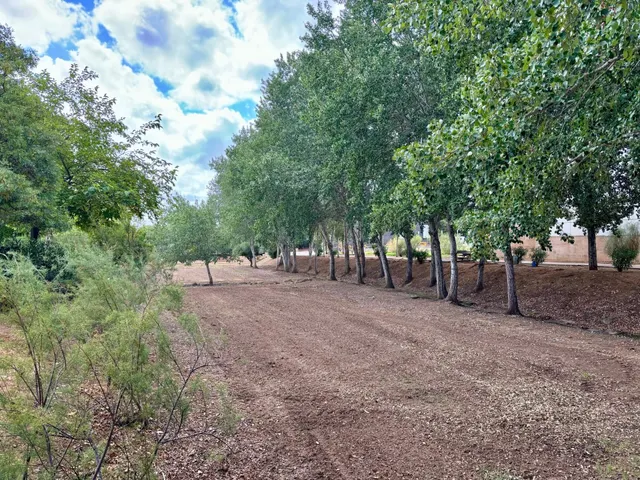 Solar 870m² en venta - Establiments - Son Sardina - foto 3
