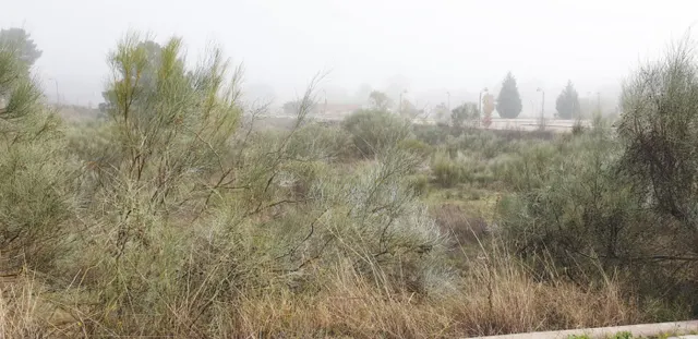 Urbis te ofrece unas parcelas en venta en Boecillo, Valladolid. — 7
