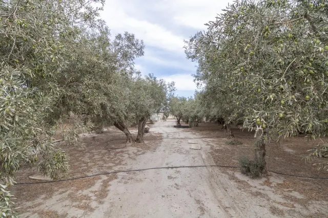 TERRENO EN PECHINA- CAMINO MARIANO — 3