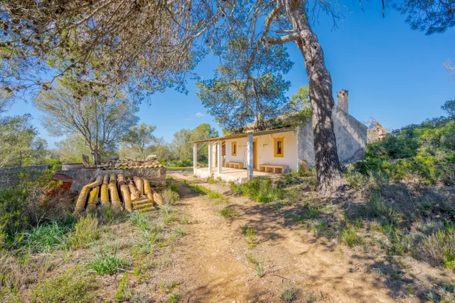 Finca de 124 hectáreas con vivienda en Puigderrós, Llucmajor. — 8