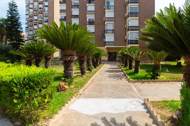 Apartamento 1 habitación 47m² en venta - Campoamor — 25