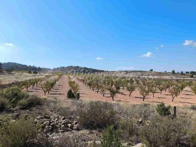 Suelo rústico en Venta en Jumilla Murcia — 3