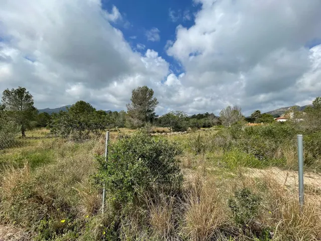 TERRENO URBANO MONT-ROIG DEL CAMP (CASALOT EL) (TARRAGONA) - foto 4