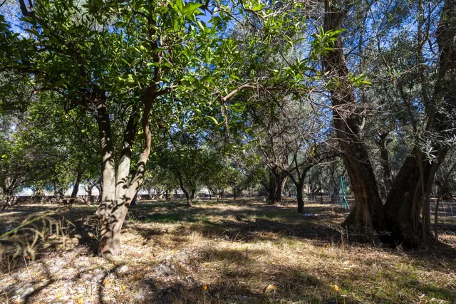 FINCA RUSTICA EN LA VEGUETA, PINOS DEL VALLE!! — 13