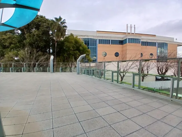 Oficina inspiradora con terraza en Murcia ciudad. - foto 5