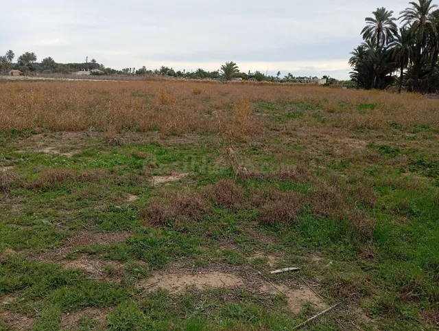 terreno en zona derramador - foto 2