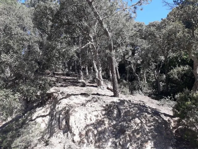 Terreno urbanizable 250m² en venta - Serra Brava - foto 5