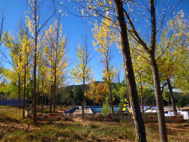 Campamento para reformar en camping o glamping — 28