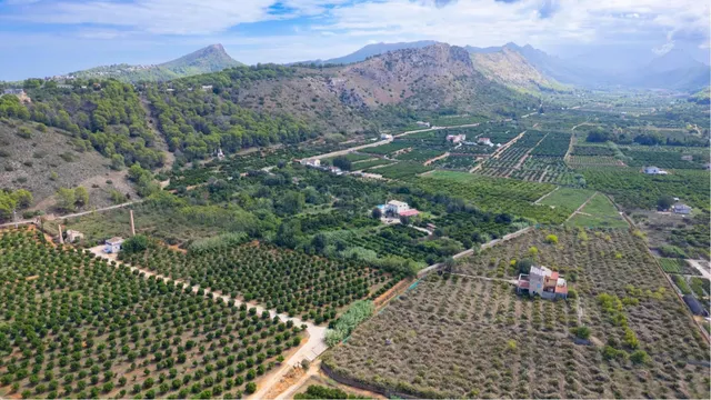 Finca rústica con vivienda reformada, piscina y cultivo ecólógico — 2