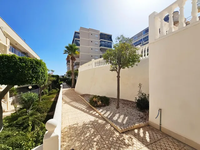 Estudio con licencia turística y piscina a 220 m de la playa en Arenales del Sol — 18