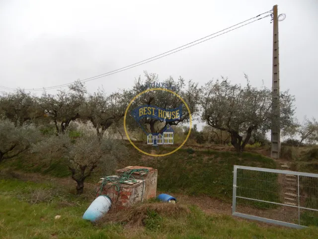 TERRENO MUY CERCA DE ONTINYENT — 7
