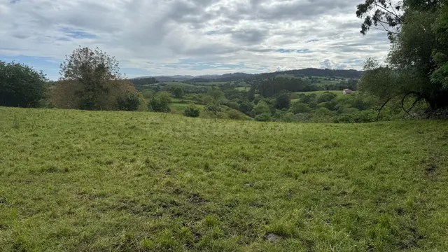 Terreno rural en venta - Lamadrid - foto 4
