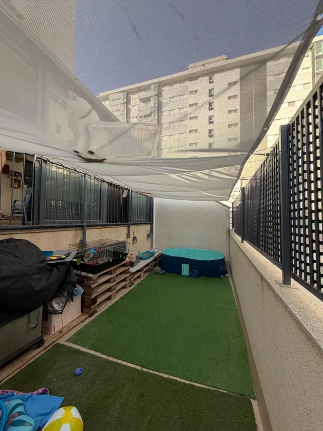 Acogedora Planta Baja en Elche Amplia Terraza y Parking — 12