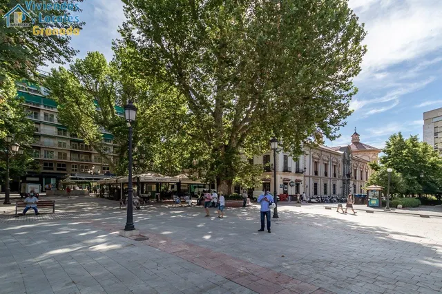 Ganivet, Plaza del Campillo — 36