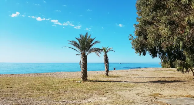 ADOSADO EN RESIDENCIAL A 50M DE LA PLAYA — 12