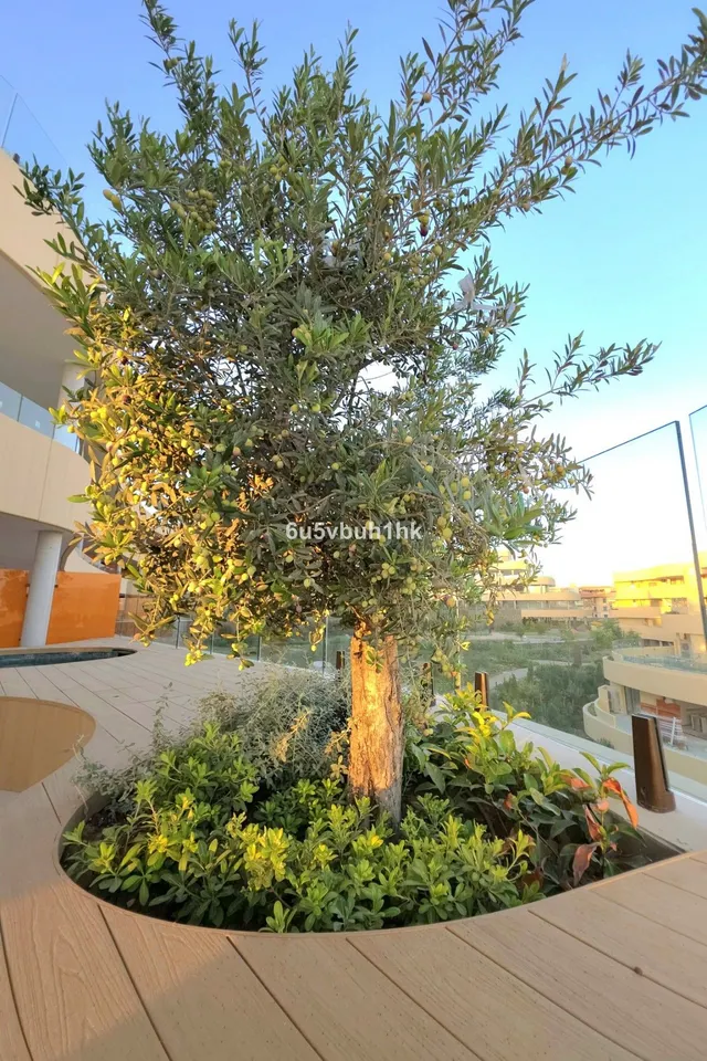 Apartamento 3 habitaciones 114m² en venta - Centro — 23