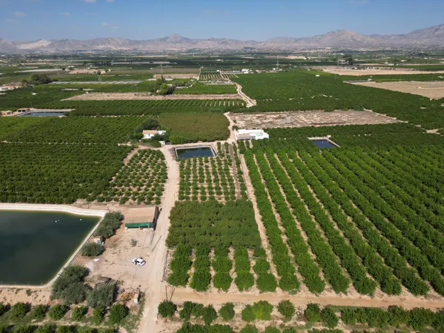 Oportunidad Inversión: Parcelas Rurales en Orihuela — 10