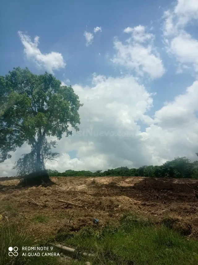 RESIDENCIAL PRADOS DE MARAÑON - foto 5