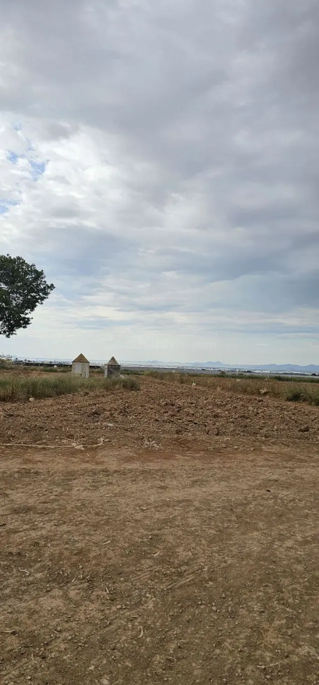 Terreno rural 248m² en venta - Sucina - foto 5