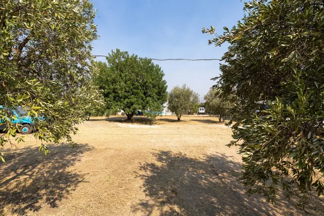 Encanto rústico con casita y olivos en Moraleja de Zafayona — 41
