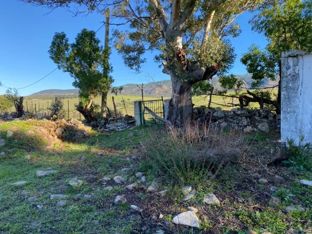 Casa de campo para reformar — 13