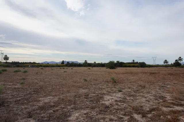 AMPLIA PARCELA DE 13000 M2 ZONA DE LA HOYA — 12