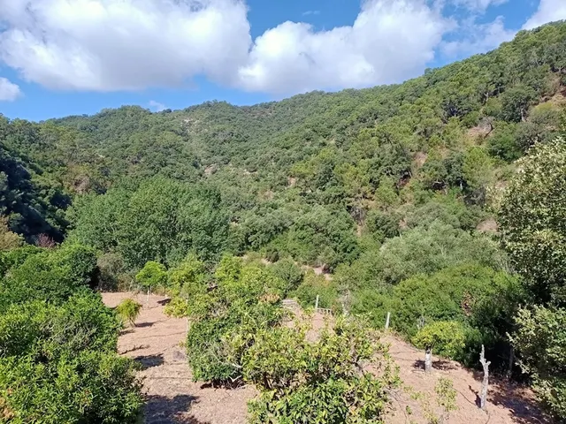 Casa de campo-Masía en Venta en Benastepal Málaga — 22