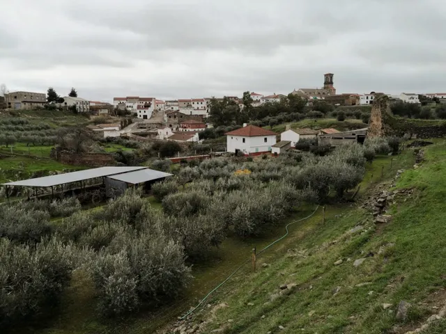 Finca rústica en venta en Belalcázar con 3 hab. y 1 baño Fin - foto 5